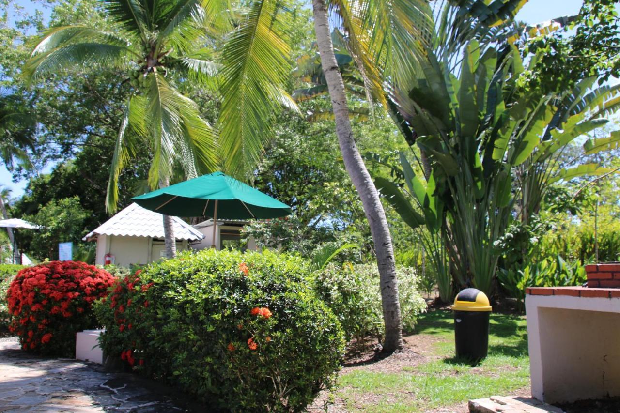 Tropical Bliss Pool Wi-Fi Bbq Near Quepos Manuel Antonio Apartment Exterior foto